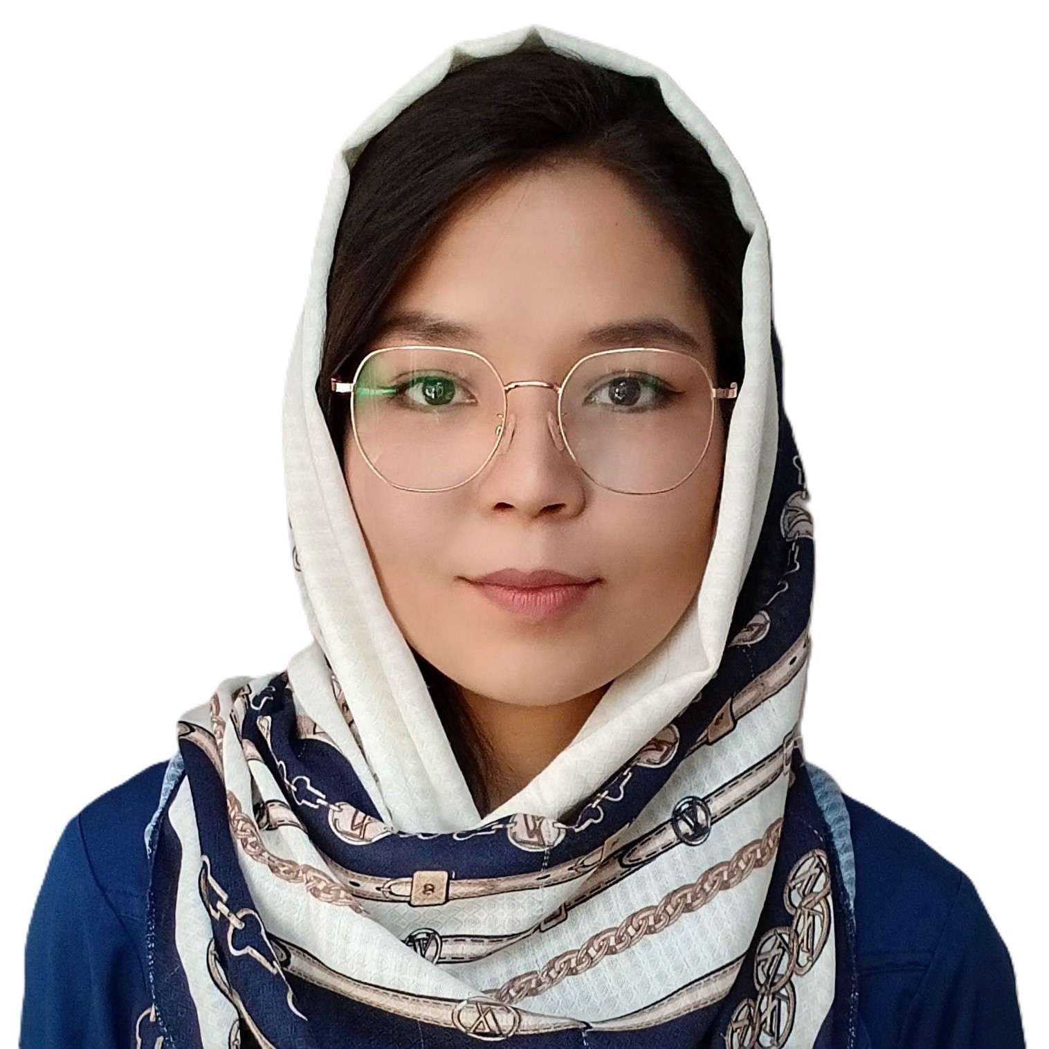 Nilufar Mirzaii